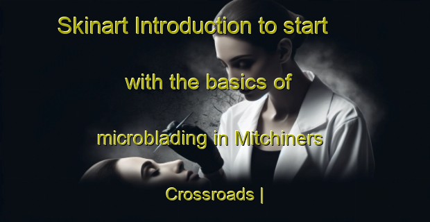 Skinart Introduction to start with the basics of microblading in Mitchiners Crossroads | MicrobladingTraining | MicrobladingClasses | SkinartTraining-United States